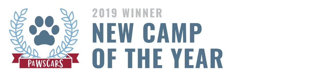New Camp of the Year 2019