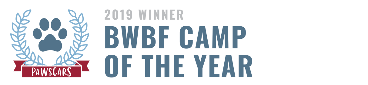 BWBF Camp of the Year 2019