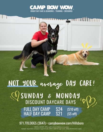 camp bow wow specials