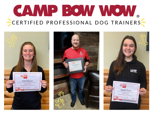 certified professional dog trainers