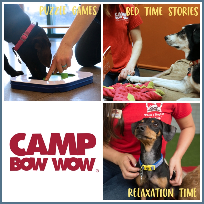 Camp bow wow directions best sale