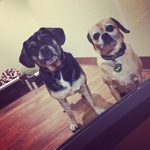Puppy Love!