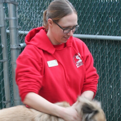 Dana  Years with Camp Bow Wow: 13 Photo