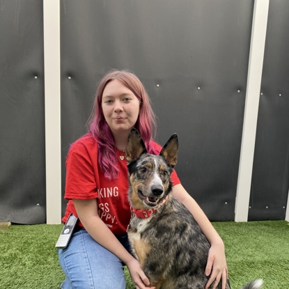 Jessie   Photo