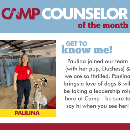 Paulina   Photo
