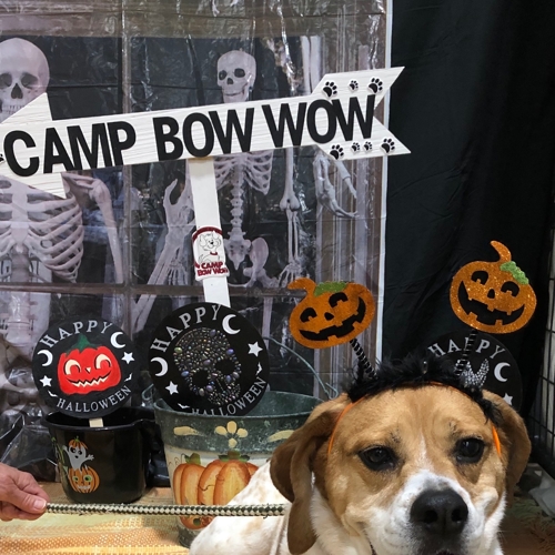 Howl A Ween