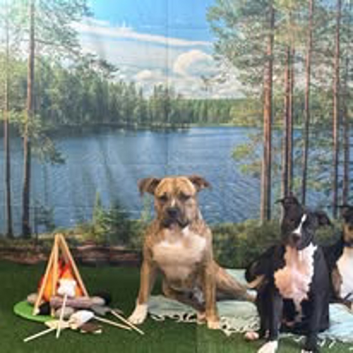 Our Campers