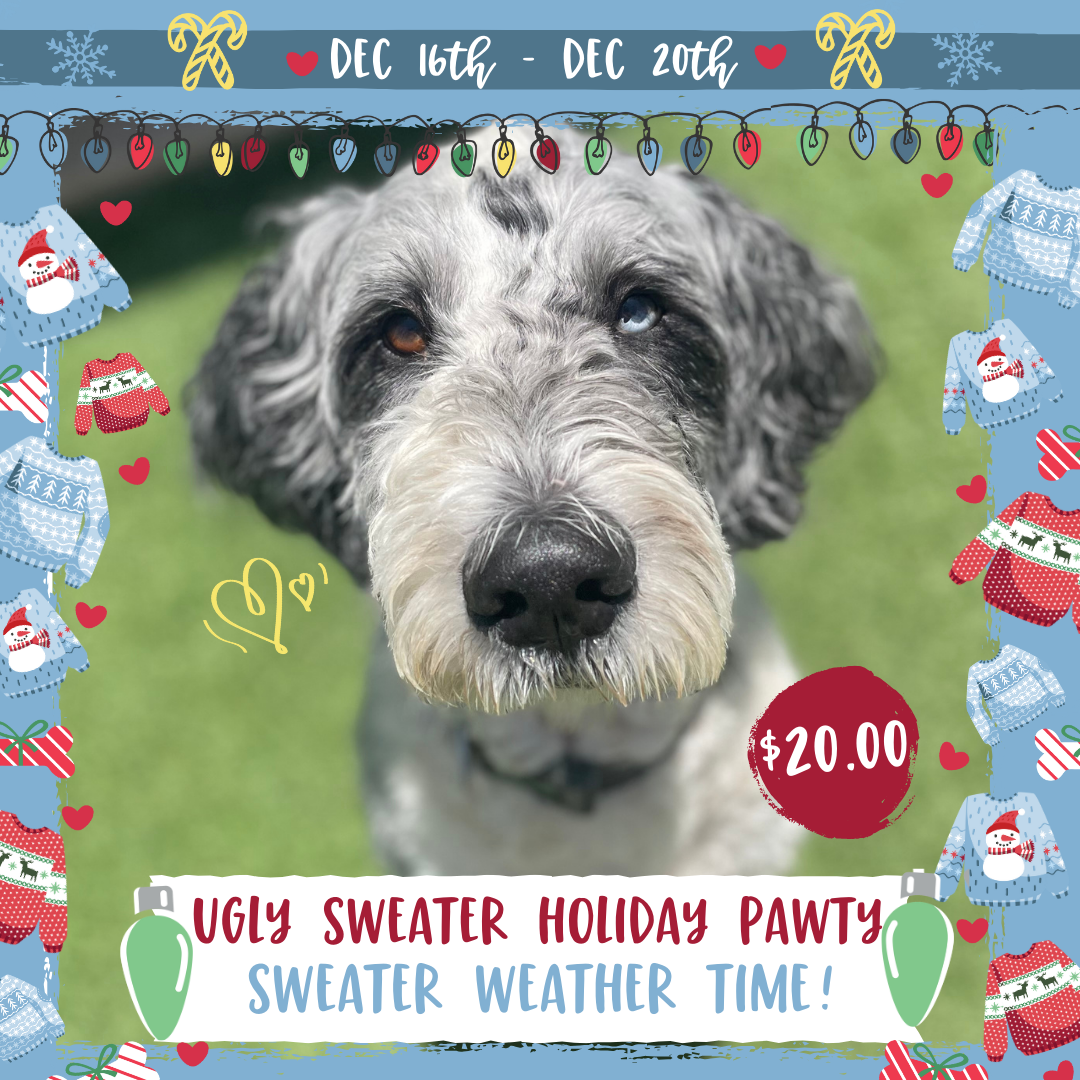 Ugly Sweater Holiday Pawty December 16th- December 20th