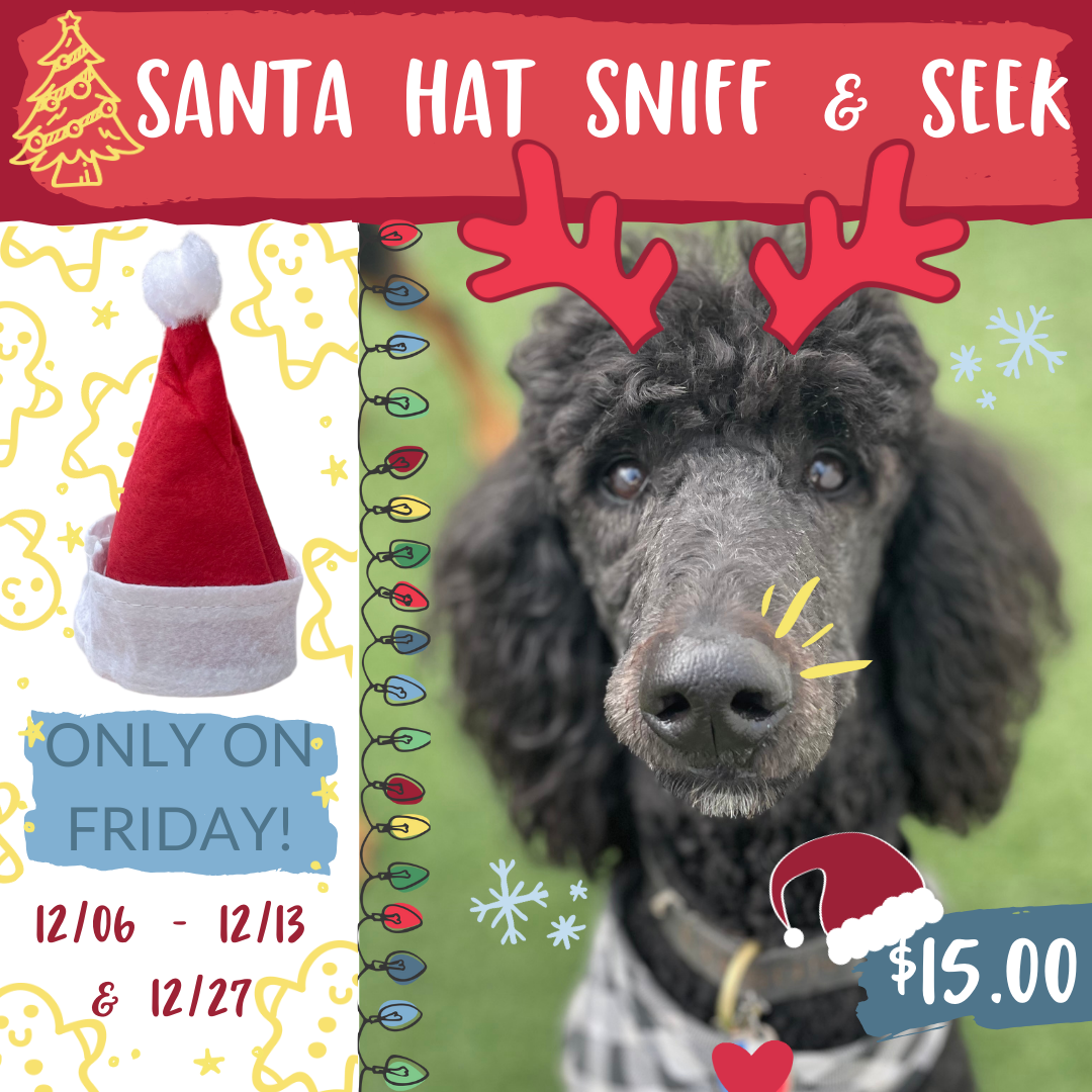 Santa Hat Sniff & Seek