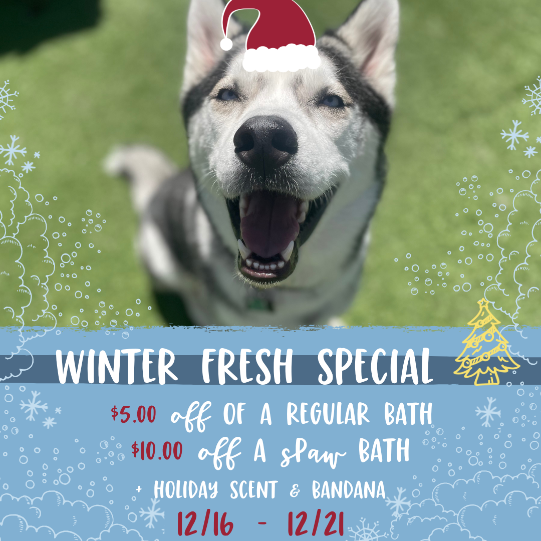 Winter Fresh Special