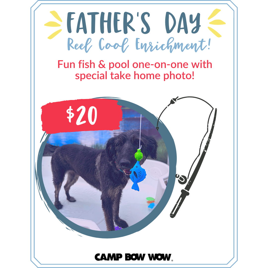 Father's Day Reel Cool Enrichment Fun Fish & Pool One-on-One with Special Take Home Photo $20