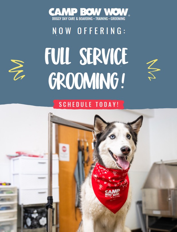 Dog Grooming in Rockaway | Camp Bow Wow Rockaway