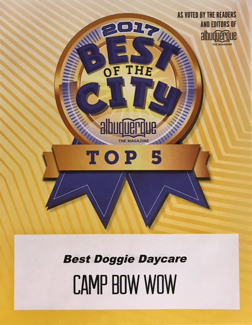 2017 Best of the City Albuquerque Top 5 as voted by the readers and editors of Albuquerque Magazine. Camp Bow Wow Best Doggie Daycare.