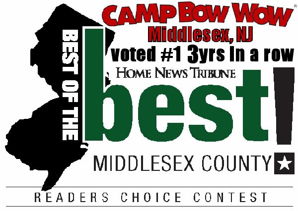 Best of the Middlesex County 3 Years in a Row