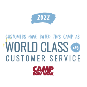 2022 Customer Service