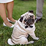 Dog wedding outfit