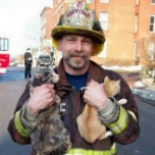Fireman Saving Pets