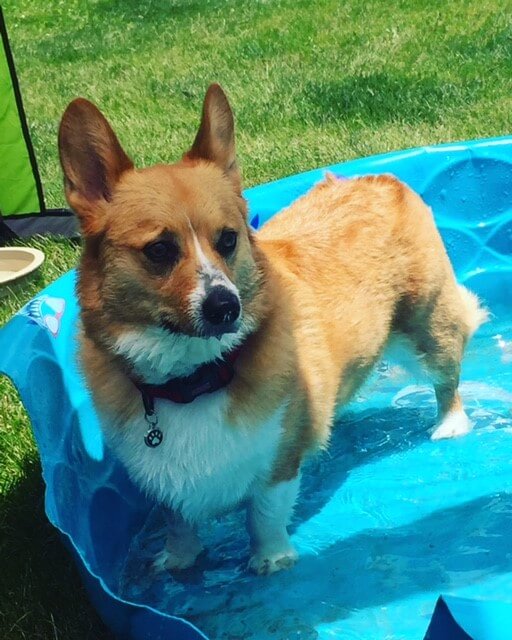 Bengie in Pool 