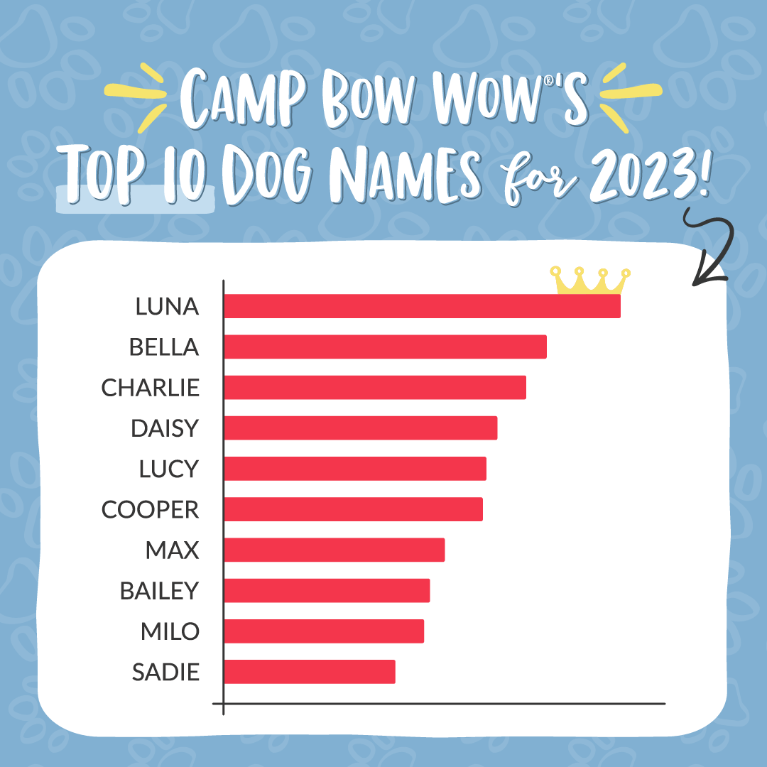 Best sales puppy names