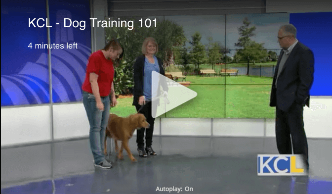 KCL Dog Training 101 Video Link