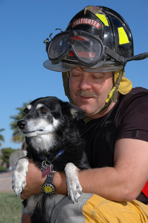 Fireman with Dog