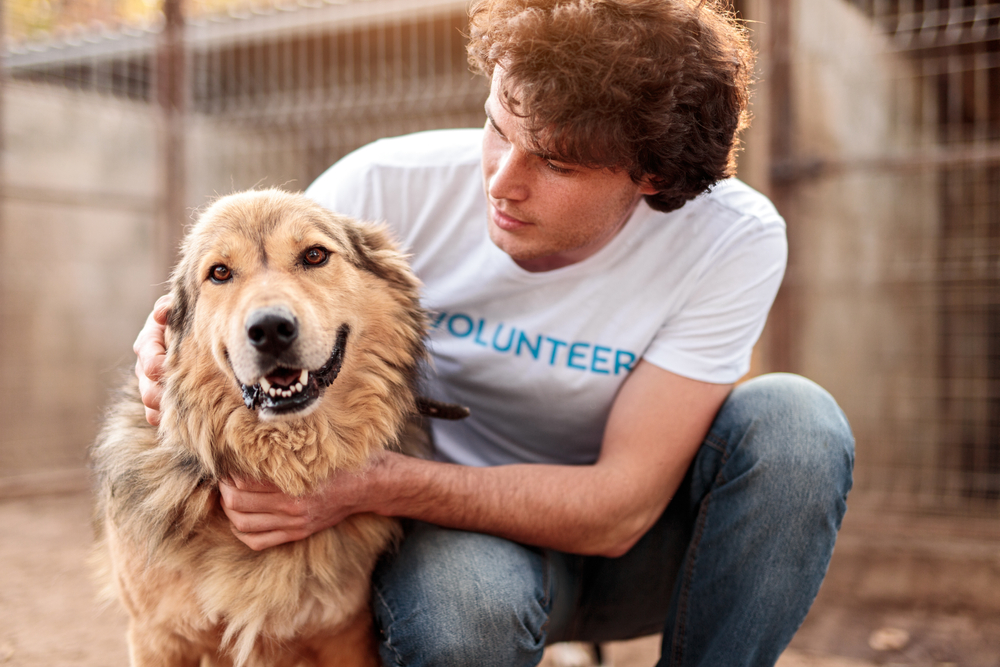 man in volunteer shirt petting dog