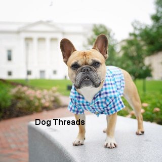 Shop clearance dog threads