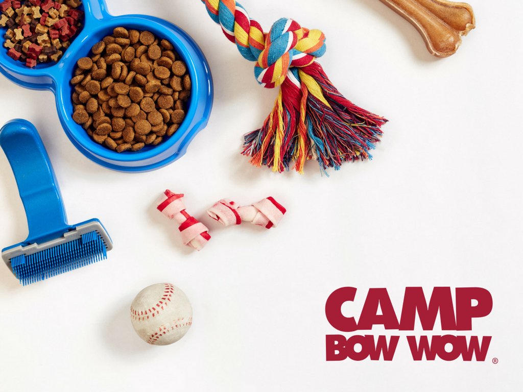 How to Mark Your Territory and Set Up Camp Camp Bow Wow