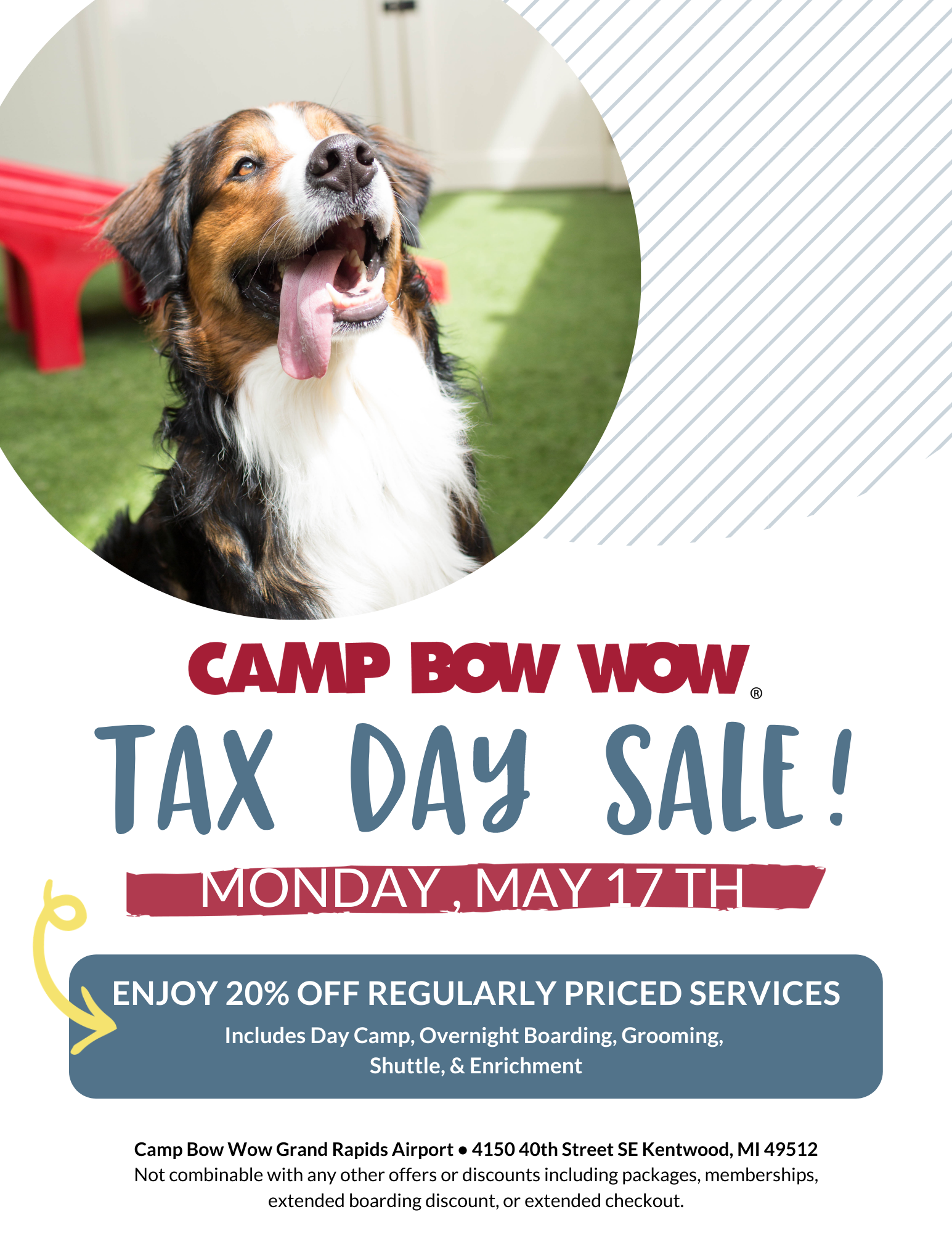 camp bow wow packages