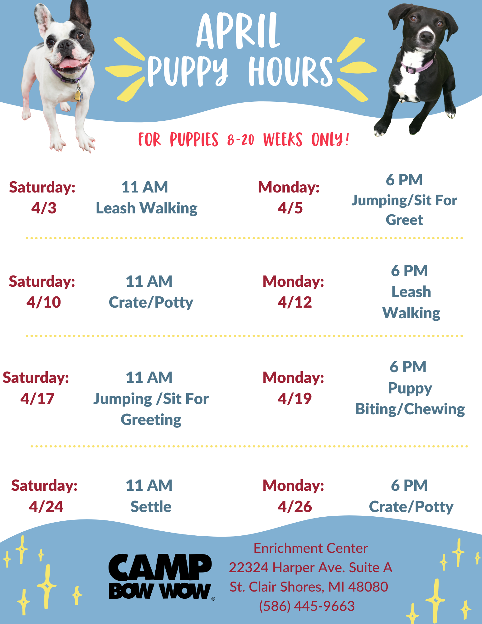 camp bow wow training