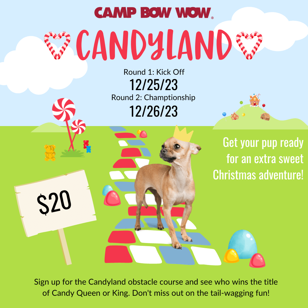Camp Bow Wow Candyland event flyer Round 1: 12/25/23 Round 2: 12/26/23