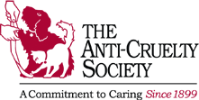 The Anti-Cruelty Society, A Commitment to Caring Since 1899