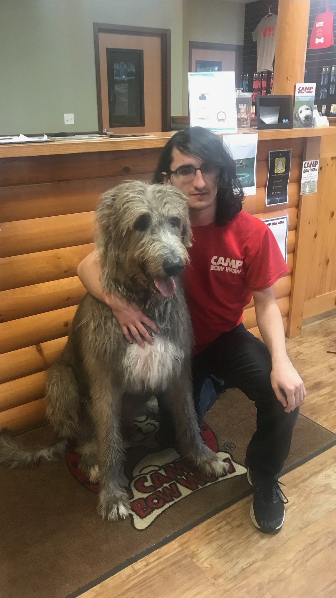 camp bow wow directions