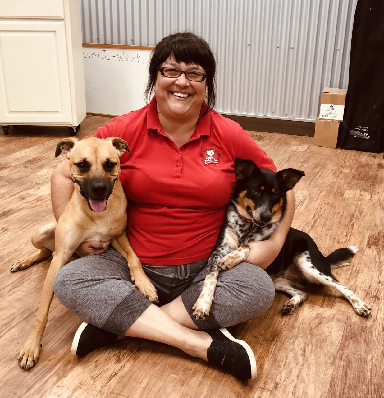 camp bow wow training