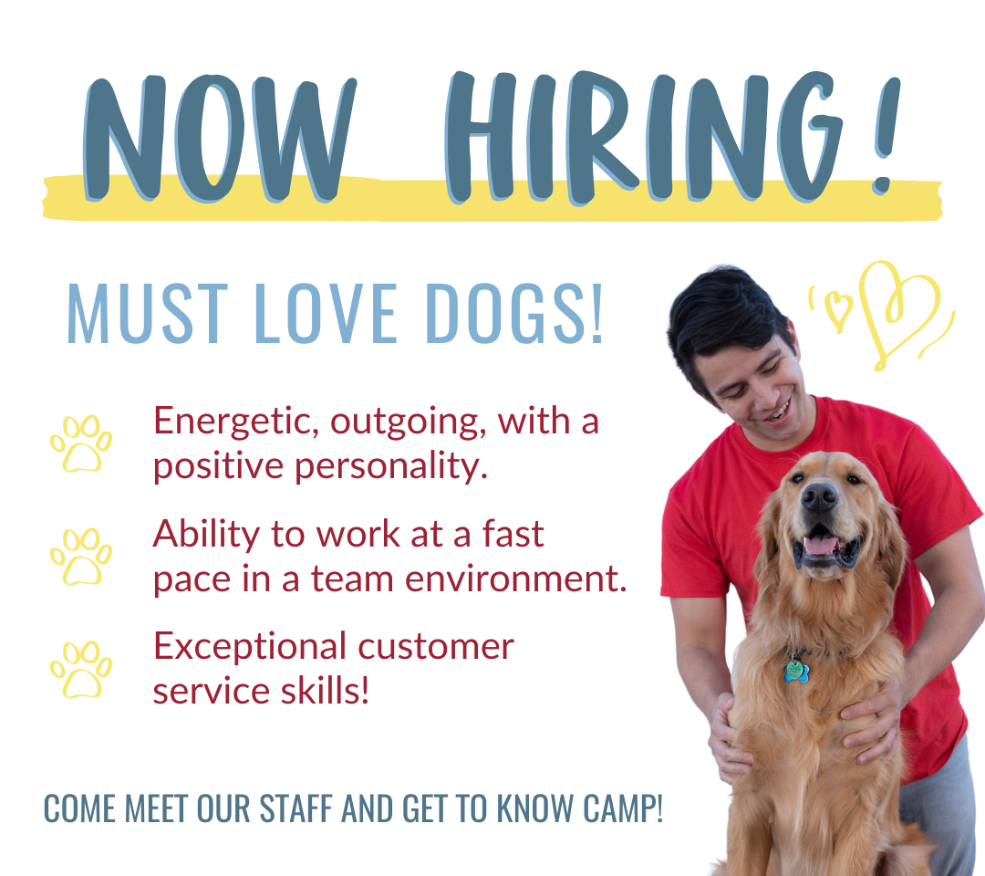 Now Hiring Poster