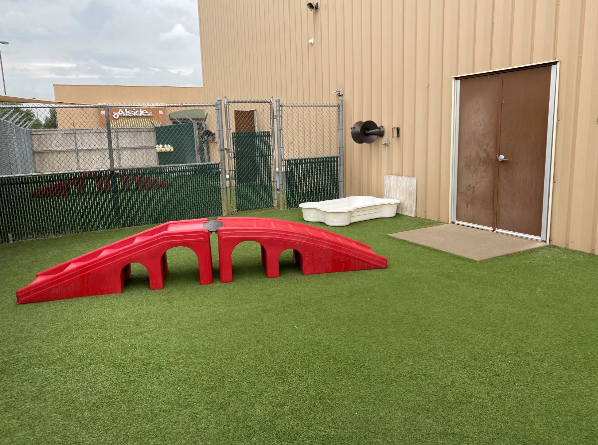 Photo Gallery Camp Bow Wow