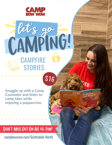 Camping Enrichment $16 Campfire Stories