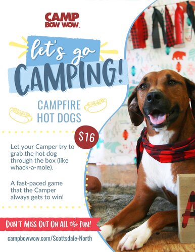 Camping Hot Dog Enrichment