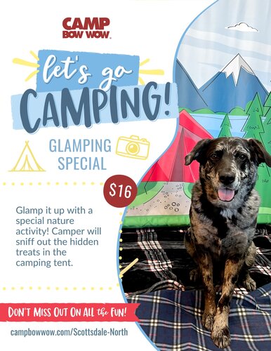 Camping Glamping Enrichment