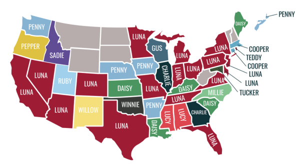 most popular puppy names by state for 2025