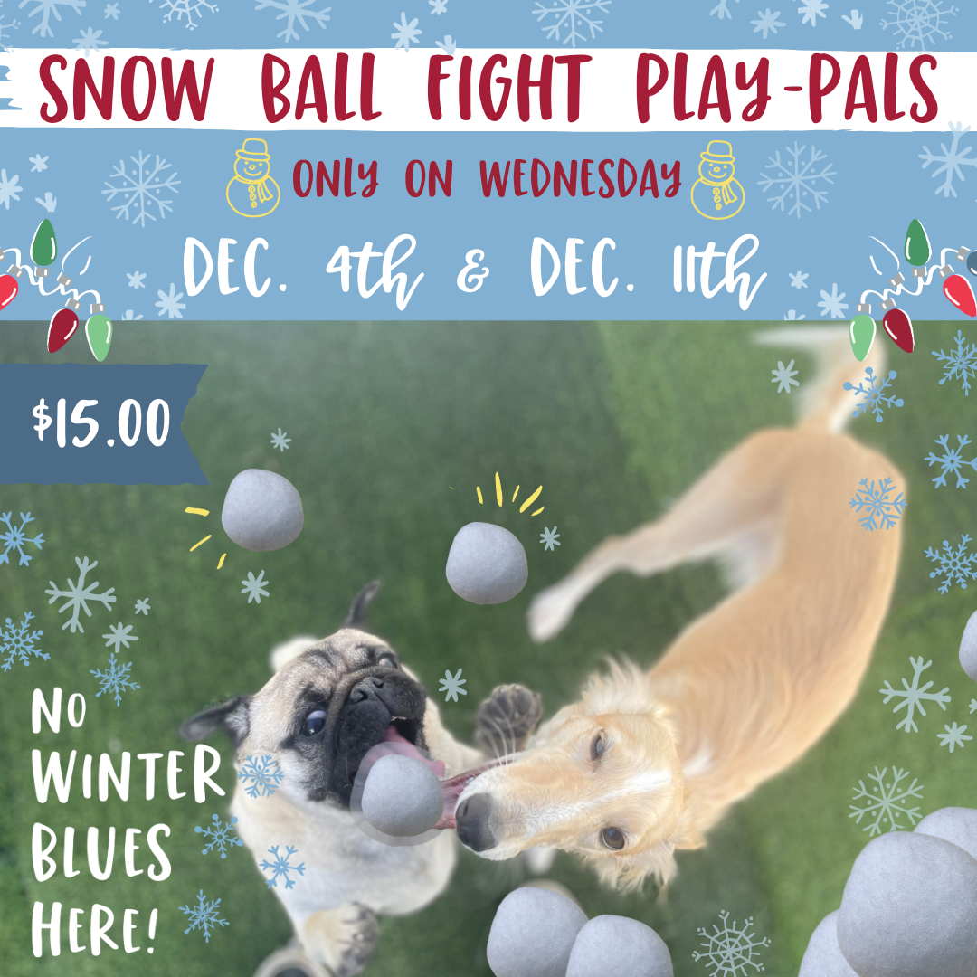 Snow Ball Fight Play Pals