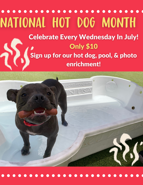 National Hot Dog Month Enrichment Flyer