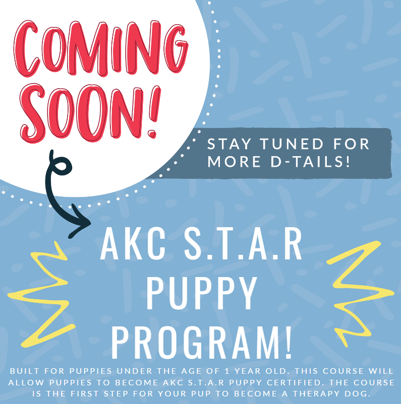 AKC S.T.A.R. Puppy Program Coming Soon