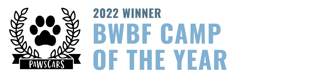 Bwbf Camp of the Year 2022