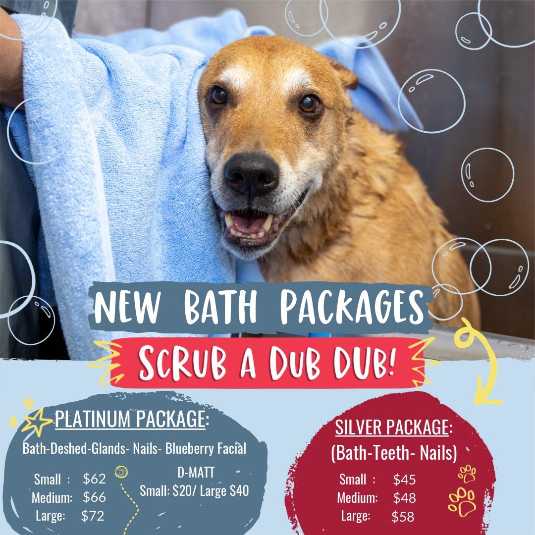 New Bath Packages