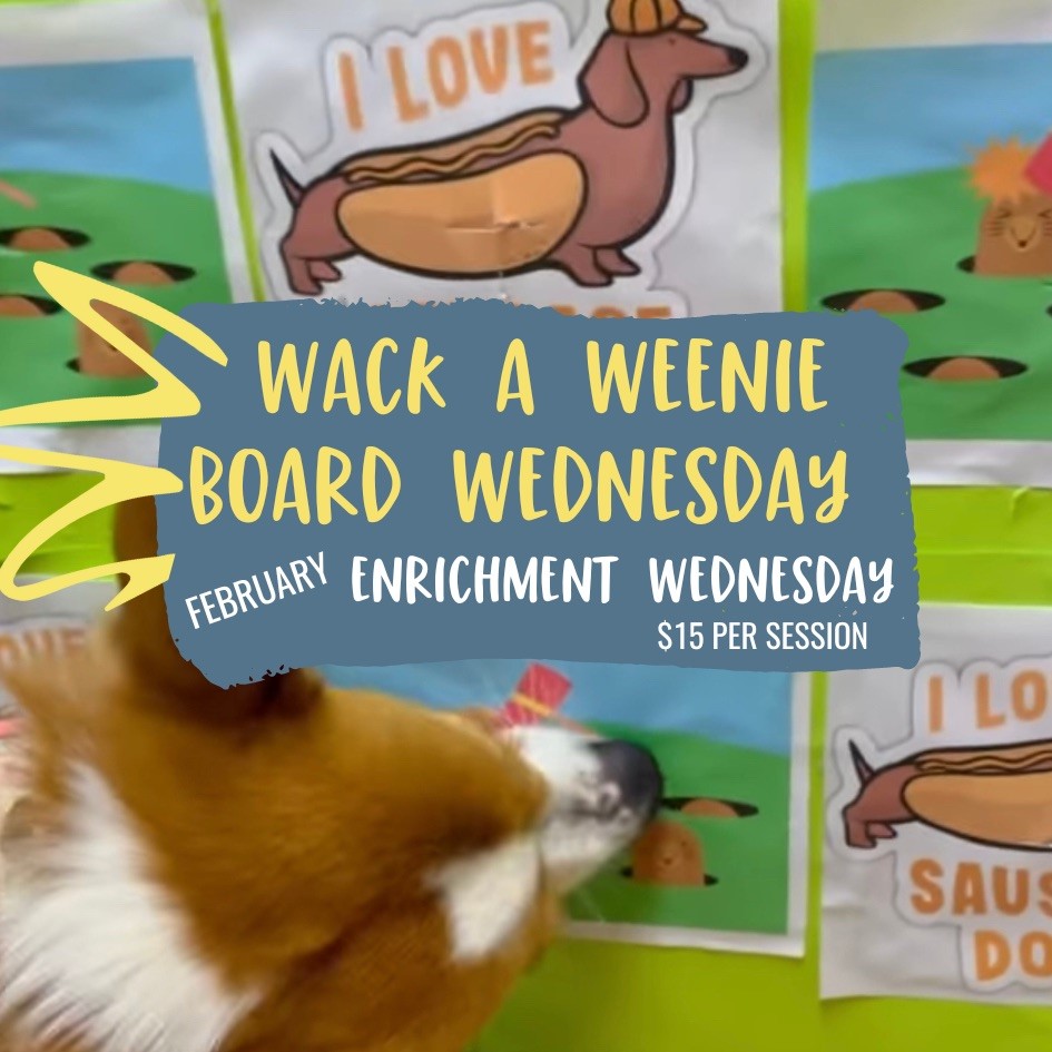 February Wack a Weenie Board Wednesday $15 Enrichment Sessions