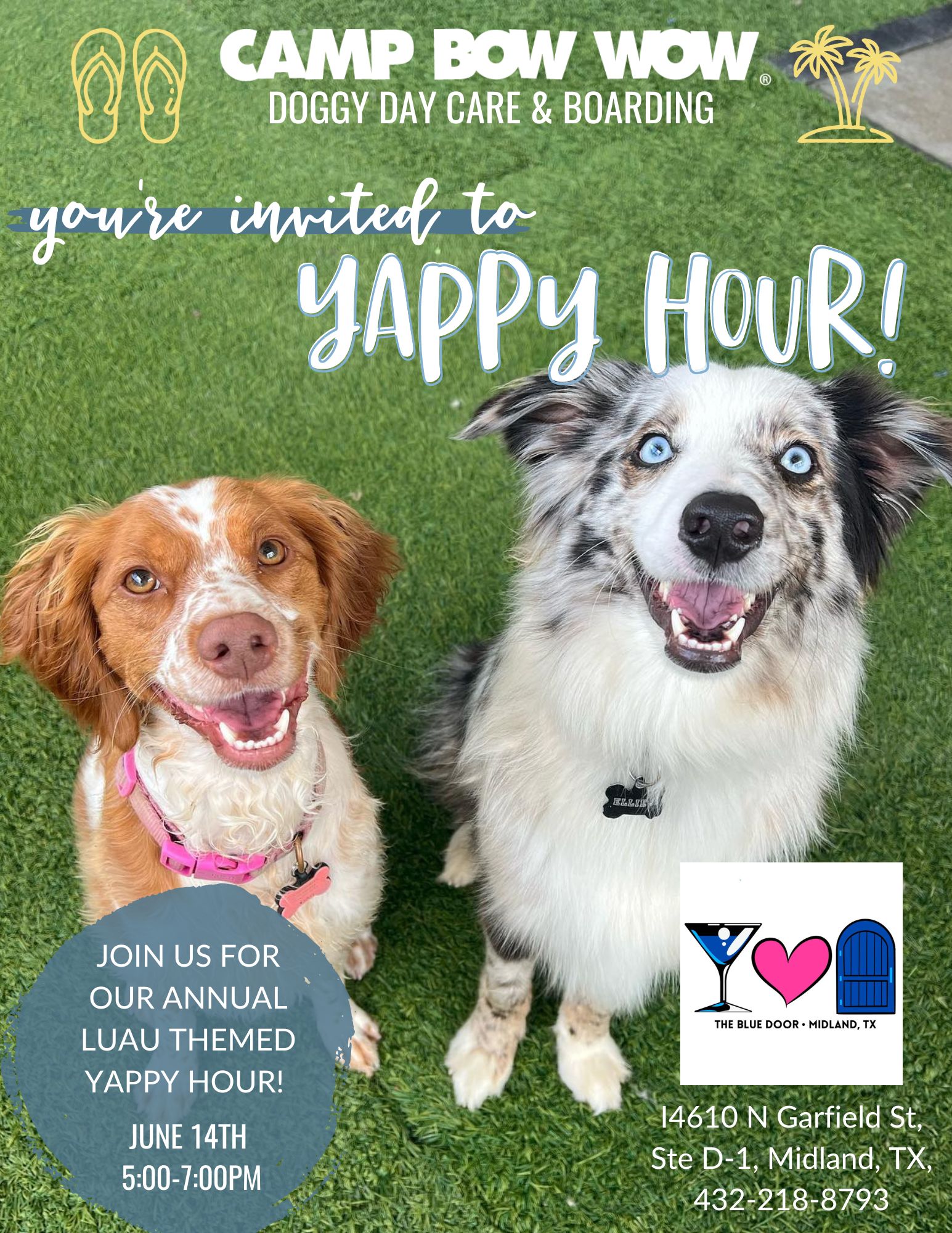 Yappy Hour Event June 14th from 5pm-7pm