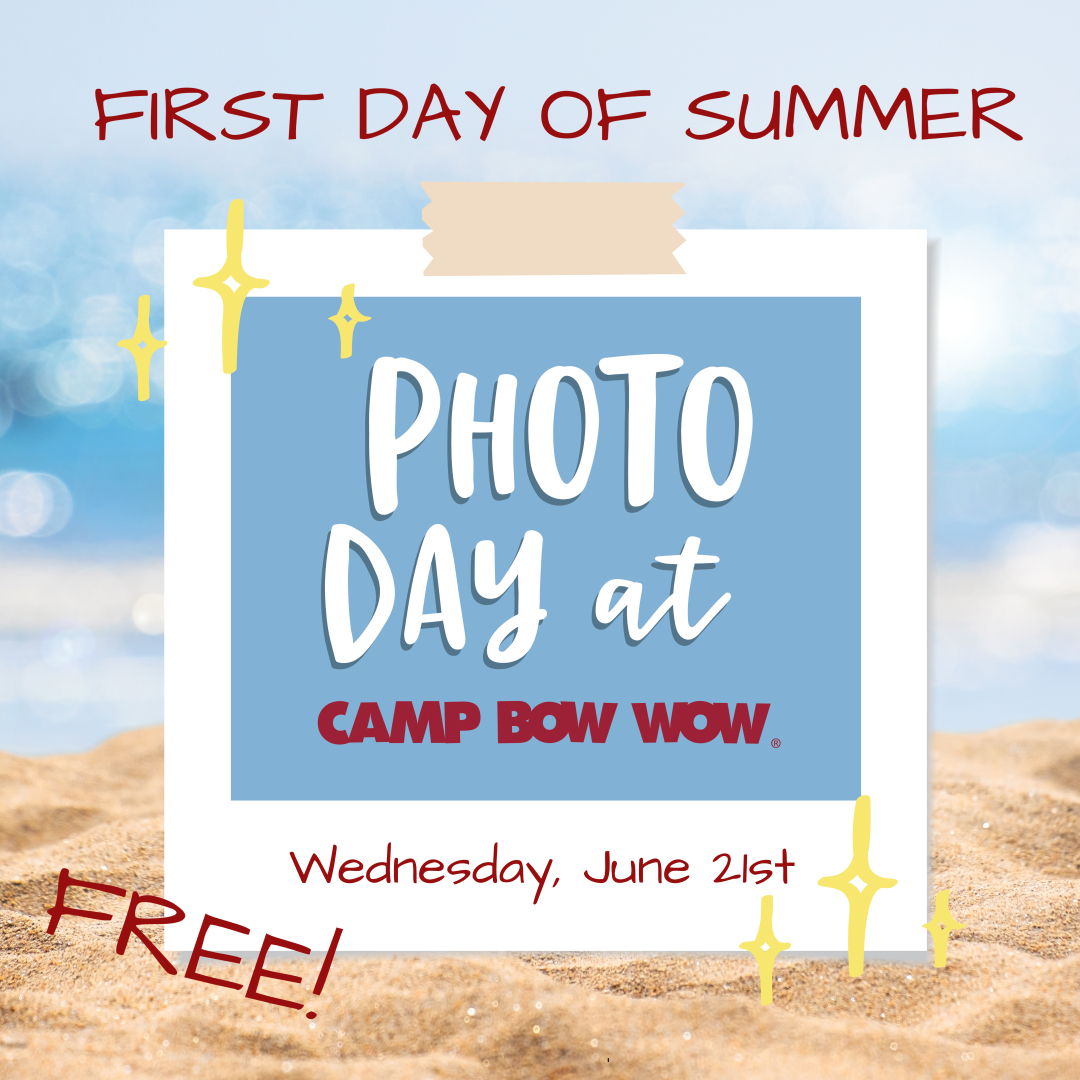 First day of summer photo day June 21st